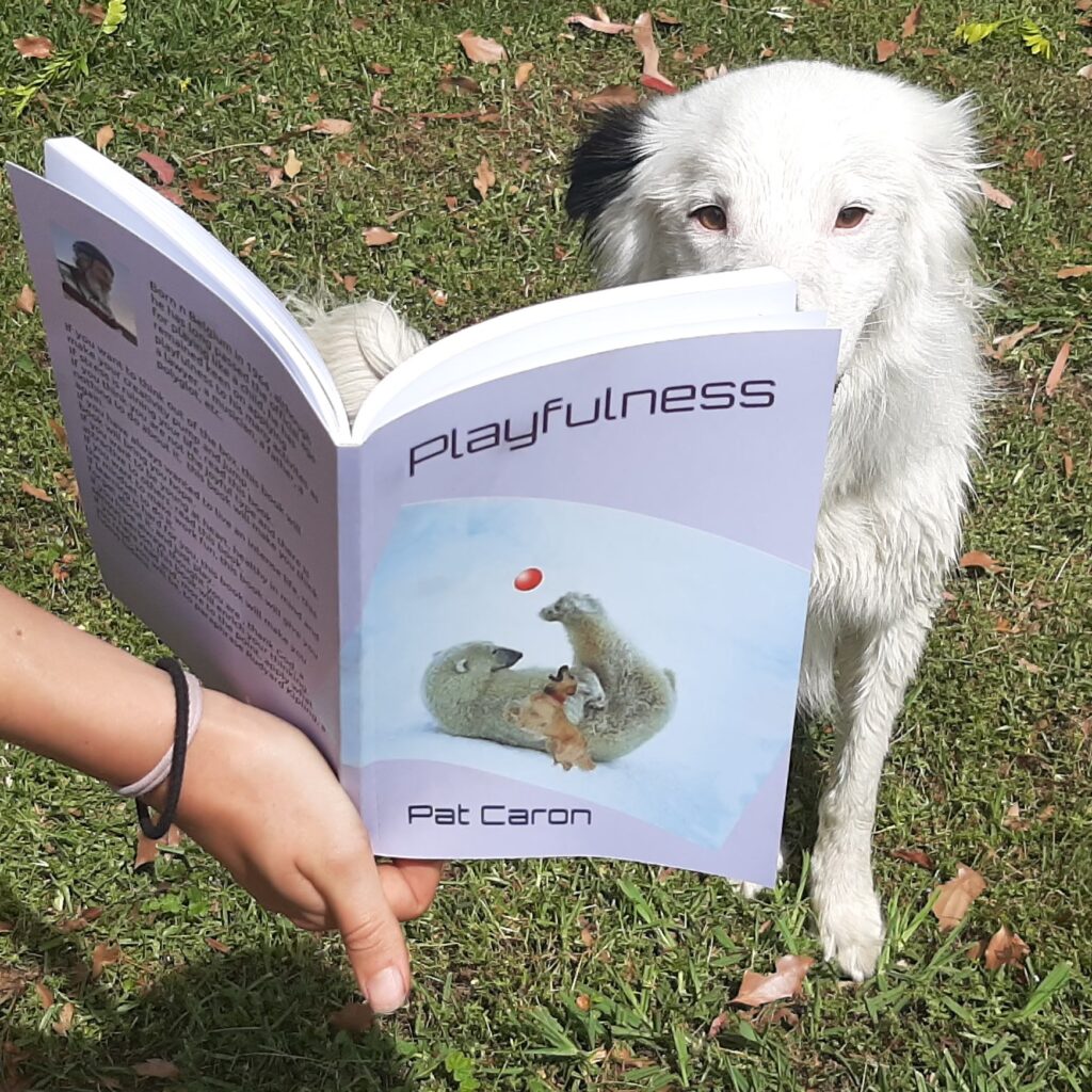 playful dog reads